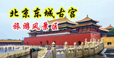美女人跪下吃JB长视频在线免费观看中国北京-东城古宫旅游风景区